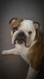 20170130_090440.webp 20170130_090440.webp