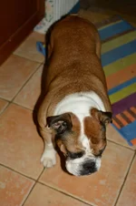 DSC_0208.webp