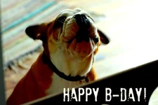 happy_b_day_1.webp