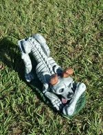 20161023_102133.webp