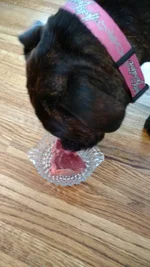 IMG_20170314_183231544.webp