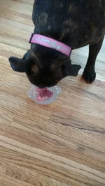 IMG_20170314_183224191.webp