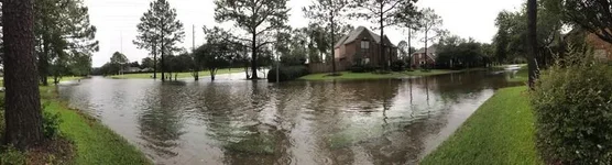8-27-17 Flood.webp 8-27-17 Flood.webp