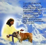 image.webp