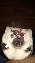 IMG_20160823_223920034.webp
