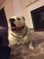 JOEY'S PHONE 12-20-2016 231.webp