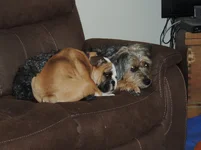 DSCN8150.webp