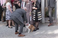 FB_IMG_1476822497622.webp