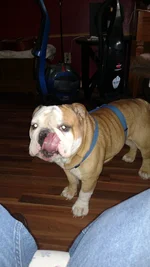 IMG_20160926_133124875.webp