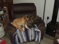 DSCN8159.webp