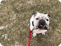 Bubba.webp