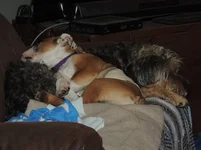 DSCN8155.webp