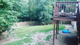 back yard.jpg