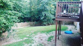 back yard.jpg