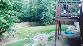 back yard.webp
