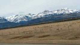 IMG_20170315_125819698.webp
