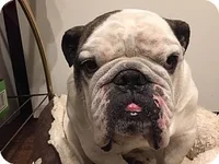 Bowser2.webp