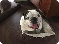 Bowser3.webp