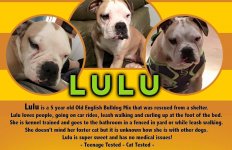 Lulu.jpg Lulu.jpg