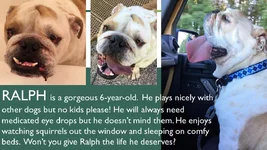 Ralph.webp