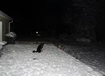 DSCN7576.webp