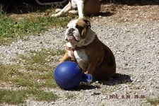DSCF5601.webp