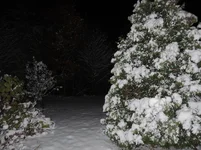 DSCN7584.webp
