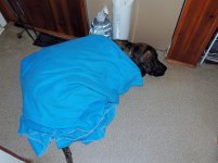 sick odin 059.jpg sick odin 059.jpg