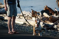 IMG_6203.webp IMG_6203.webp
