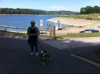 wales.webp wales.webp