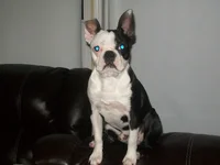 100_0914.webp