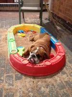 thumbnail_IMG_4368.webp