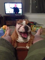 thumbnail_IMG_3285.webp
