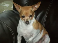 100_0800.webp