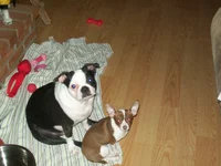 100_0375.webp