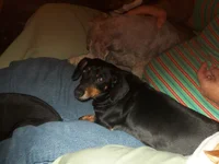 100_1020.webp