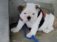 Rosie first day 013.webp