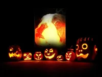 pumpkinmaude.webp