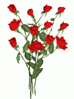 bloomingroses.gif