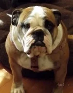 DSCF5309.webp
