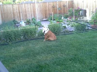 Yes she's looking.webp