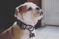 image.jpeg image.jpeg