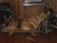 DSCF2819.webp