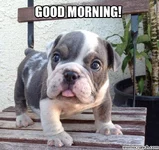 f6089bde879cd9c95d180750cbc82ba8.webp