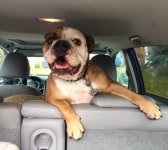 diesel.jpg diesel.jpg