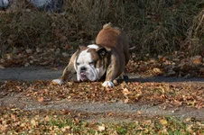 DSC_0092.webp