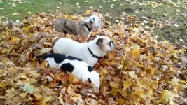 IMG_20161105_122806.webp