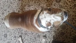 20170207_124441.webp