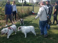 image.webp