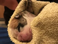 IMG_0553.webp